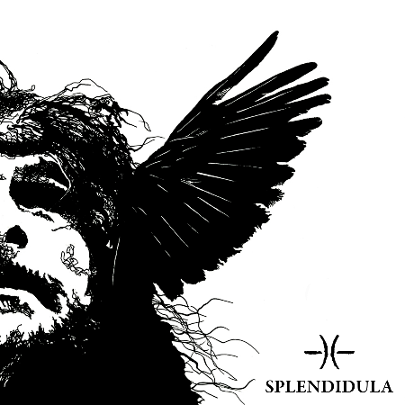 Splendidula-Somnus-Artwork